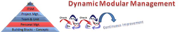 Dynamic Modular Management